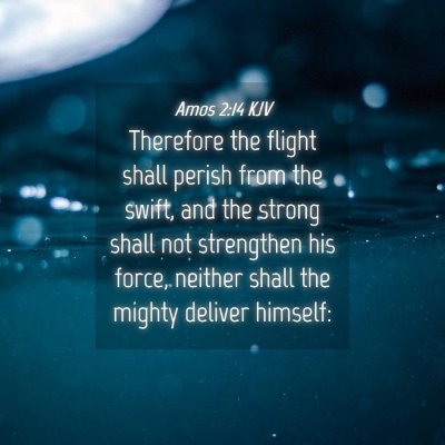 Picture 04 - Amos 2:14 KJV - Therefore the flight shall perish from the swift, - Bible Verse Picture