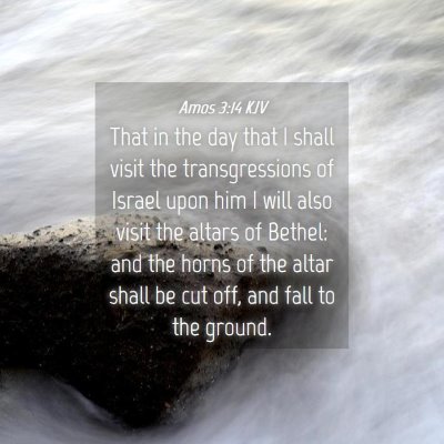 Picture 04 - Amos 3:14 KJV - That in the day that I shall visit the - Bible Verse Picture