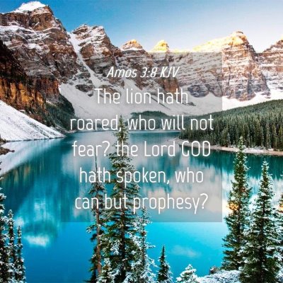 Picture 04 - Amos 3:8 KJV - The lion hath roared, who will not fear? the Lord - Bible Verse Picture
