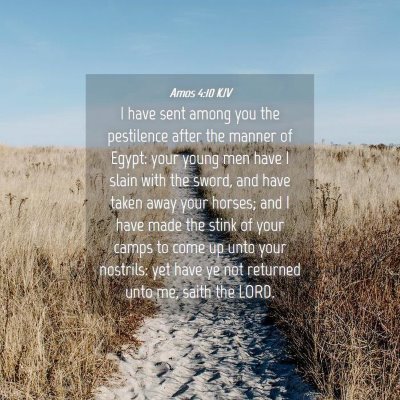 Picture 04 - Amos 4:10 KJV - I have sent among you the pestilence after the - Bible Verse Picture
