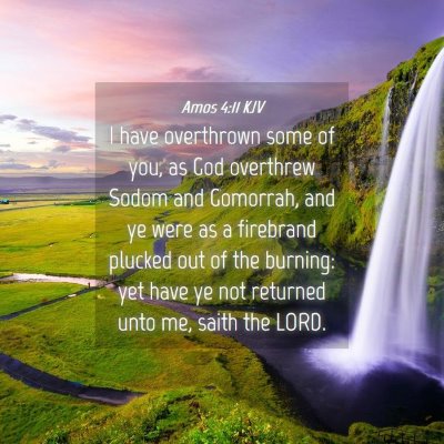 Picture 04 - Amos 4:11 KJV - I have overthrown some of you, as God overthrew - Bible Verse Picture