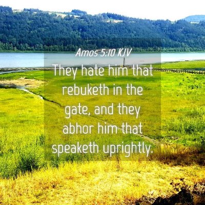 Picture 04 - Amos 5:10 KJV - They hate him that rebuketh in the gate, and they - Bible Verse Picture