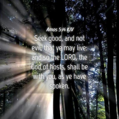 Picture 04 - Amos 5:14 KJV - Seek good, and not evil, that ye may live: and so - Bible Verse Picture