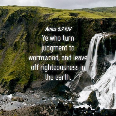 Picture 04 - Amos 5:7 KJV - Ye who turn judgment to wormwood, and leave off - Bible Verse Picture