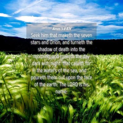 Picture 04 - Amos 5:8 KJV - Seek him that maketh the seven stars and Orion, - Bible Verse Picture