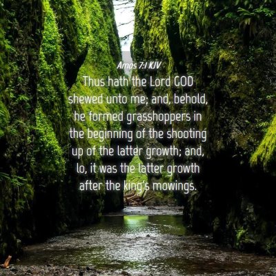 Picture 04 - Amos 7:1 KJV - Thus hath the Lord GOD shewed unto me; and, - Bible Verse Picture