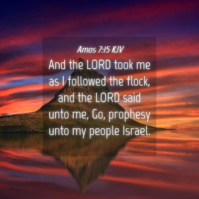 Picture 04 - Amos 7:15 KJV - And the LORD took me as I followed the flock, and - Bible Verse Picture