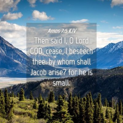 Picture 04 - Amos 7:5 KJV - Then said I, O Lord GOD, cease, I beseech thee: - Bible Verse Picture