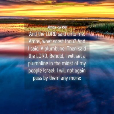Picture 04 - Amos 7:8 KJV - And the LORD said unto me, Amos, what seest thou? - Bible Verse Picture