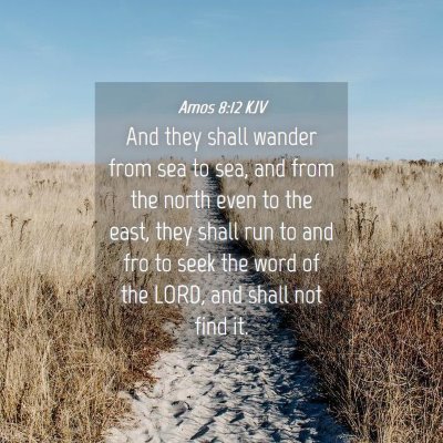 Picture 04 - Amos 8:12 KJV - And they shall wander from sea to sea, and from - Bible Verse Picture