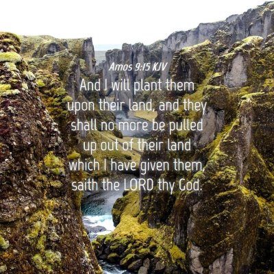 Picture 04 - Amos 9:15 KJV - And I will plant them upon their land, and they - Bible Verse Picture