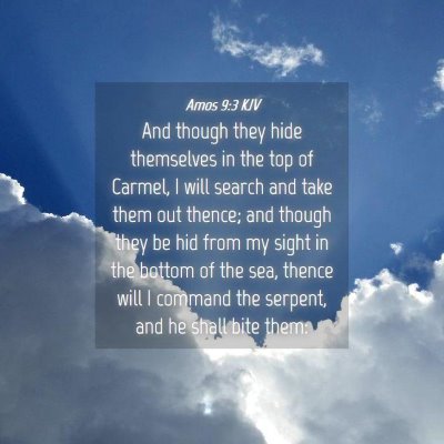 Picture 04 - Amos 9:3 KJV - And though they hide themselves in the top of - Bible Verse Picture