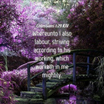 Picture 04 - Colossians 1:29 KJV - Whereunto I also labour, striving according to - Bible Verse Picture