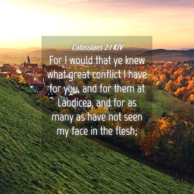 Picture 04 - Colossians 2:1 KJV - For I would that ye knew what great conflict I - Bible Verse Picture