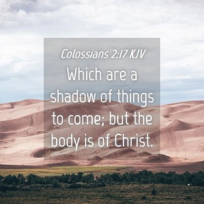 Picture 04 - Colossians 2:17 KJV - Which are a shadow of things to come; but the - Bible Verse Picture