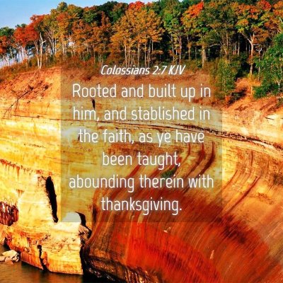 Picture 04 - Colossians 2:7 KJV - Rooted and built up in him, and stablished in the - Bible Verse Picture