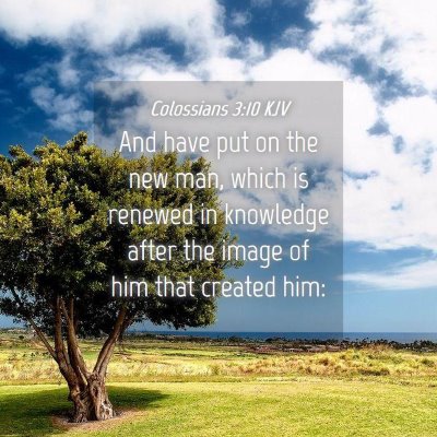 Picture 04 - Colossians 3:10 KJV - And have put on the new man, which is renewed in - Bible Verse Picture