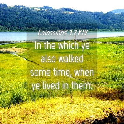 Picture 04 - Colossians 3:7 KJV - In the which ye also walked some time, when ye - Bible Verse Picture