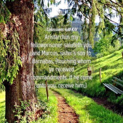 Picture 04 - Colossians 4:10 KJV - Aristarchus my fellowprisoner saluteth you, and - Bible Verse Picture