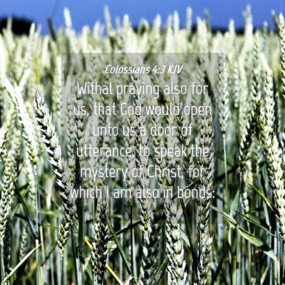 Picture 04 - Colossians 4:3 KJV - Withal praying also for us, that God would open - Bible Verse Picture