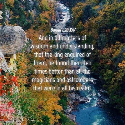 Picture 04 - Daniel 1:20 KJV - And in all matters of wisdom and understanding, - Bible Verse Picture