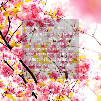 Picture 04 - Daniel 12:1 KJV - And at that time shall Michael stand up, the - Bible Verse Picture