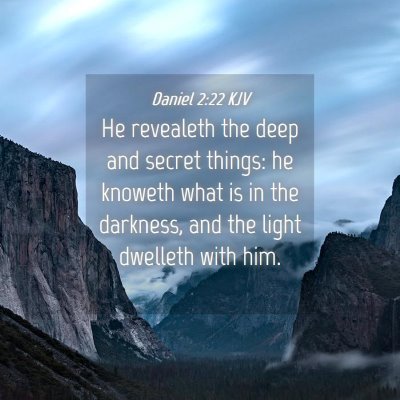 Picture 04 - Daniel 2:22 KJV - He revealeth the deep and secret things: he - Bible Verse Picture