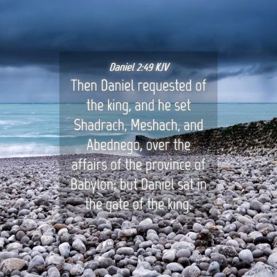 Picture 04 - Daniel 2:49 KJV - Then Daniel requested of the king, and he set - Bible Verse Picture