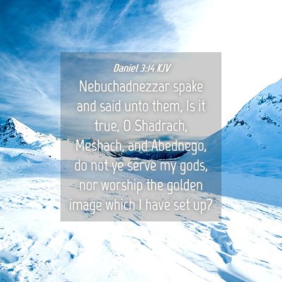 Picture 04 - Daniel 3:14 KJV - Nebuchadnezzar spake and said unto them, Is it - Bible Verse Picture