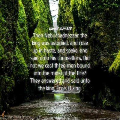 Picture 04 - Daniel 3:24 KJV - Then Nebuchadnezzar the king was astonied, and - Bible Verse Picture