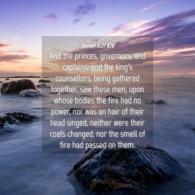 Picture 04 - Daniel 3:27 KJV - And the princes, governors, and captains, and the - Bible Verse Picture