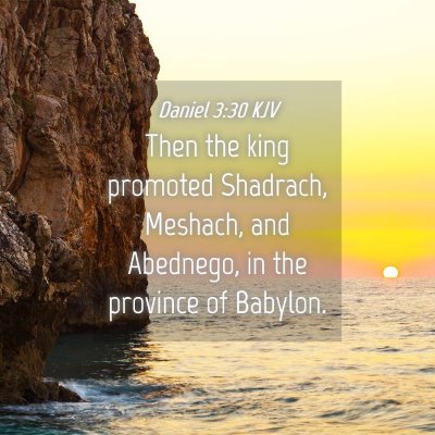 Picture 04 - Daniel 3:30 KJV - Then the king promoted Shadrach, Meshach, and - Bible Verse Picture