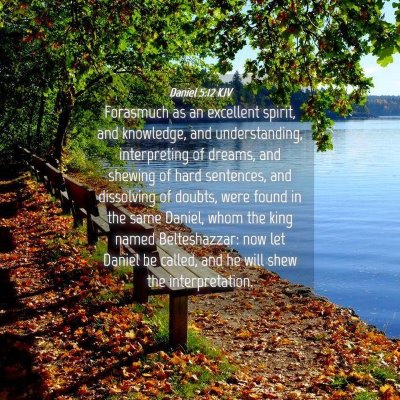 Picture 04 - Daniel 5:12 KJV - Forasmuch as an excellent spirit, and knowledge, - Bible Verse Picture