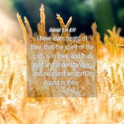 Picture 04 - Daniel 5:14 KJV - I have even heard of thee, that the spirit of the - Bible Verse Picture
