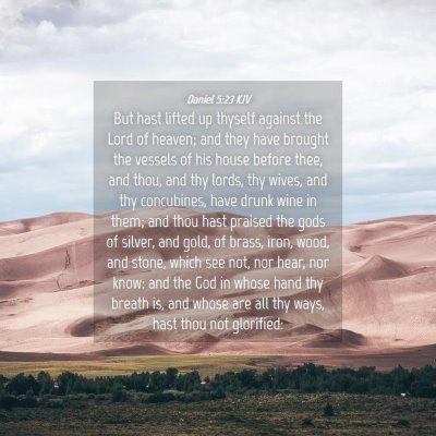 Picture 04 - Daniel 5:23 KJV - But hast lifted up thyself against the Lord of - Bible Verse Picture