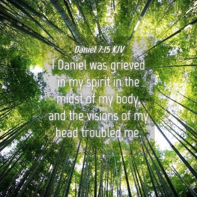 Picture 04 - Daniel 7:15 KJV - I Daniel was grieved in my spirit in the midst of - Bible Verse Picture