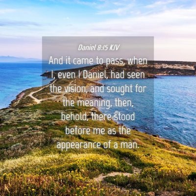 Picture 04 - Daniel 8:15 KJV - And it came to pass, when I, even I Daniel, had - Bible Verse Picture