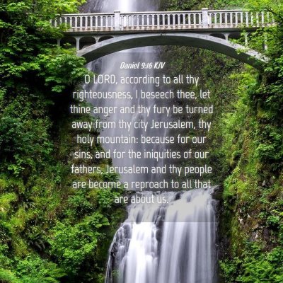 Picture 04 - Daniel 9:16 KJV - O LORD, according to all thy righteousness, I - Bible Verse Picture