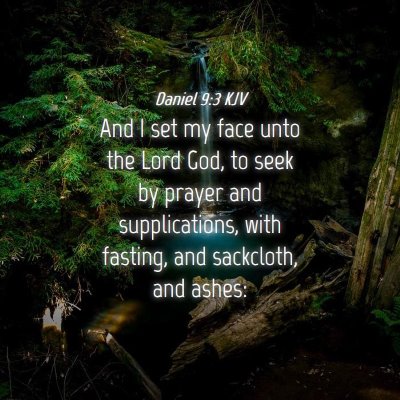 Picture 04 - Daniel 9:3 KJV - And I set my face unto the Lord God, to seek by - Bible Verse Picture