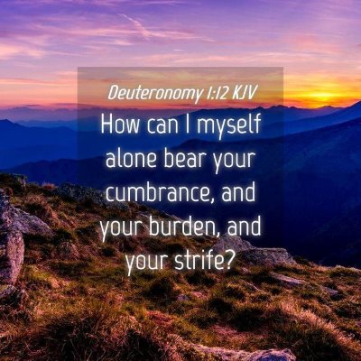Picture 04 - Deuteronomy 1:12 KJV - How can I myself alone bear your cumbrance, and - Bible Verse Picture