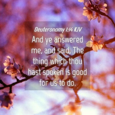 Picture 04 - Deuteronomy 1:14 KJV - And ye answered me, and said, The thing which - Bible Verse Picture