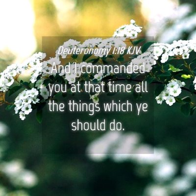 Picture 04 - Deuteronomy 1:18 KJV - And I commanded you at that time all the things - Bible Verse Picture