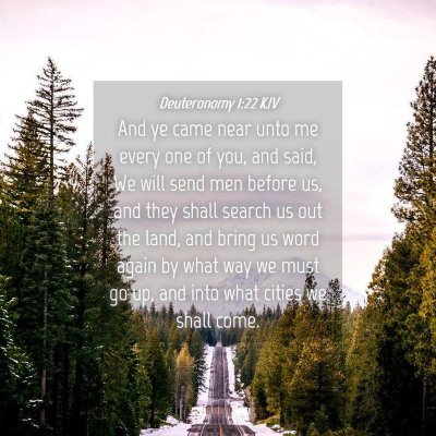 Picture 04 - Deuteronomy 1:22 KJV - And ye came near unto me every one of you, and - Bible Verse Picture
