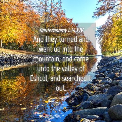 Picture 04 - Deuteronomy 1:24 KJV - And they turned and went up into the mountain, - Bible Verse Picture