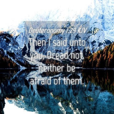 Picture 04 - Deuteronomy 1:29 KJV - Then I said unto you, Dread not, neither be - Bible Verse Picture