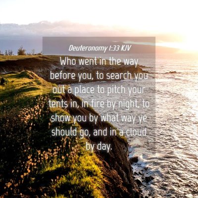 Picture 04 - Deuteronomy 1:33 KJV - Who went in the way before you, to search you out - Bible Verse Picture