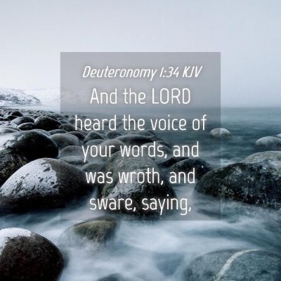 Picture 04 - Deuteronomy 1:34 KJV - And the LORD heard the voice of your words, and - Bible Verse Picture