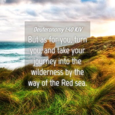 Picture 04 - Deuteronomy 1:40 KJV - But as for you, turn you, and take your journey - Bible Verse Picture