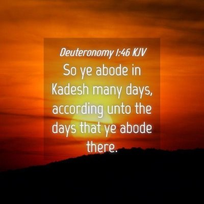 Picture 04 - Deuteronomy 1:46 KJV - So ye abode in Kadesh many days, according unto - Bible Verse Picture