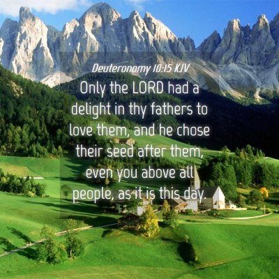 Picture 04 - Deuteronomy 10:15 KJV - Only the LORD had a delight in thy fathers to - Bible Verse Picture